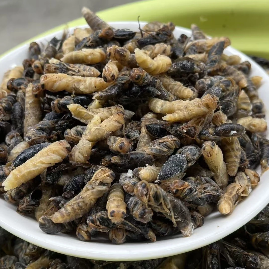 云南昆明树峰四级马蜂蛹木水花小黄小黑新鲜生态发货