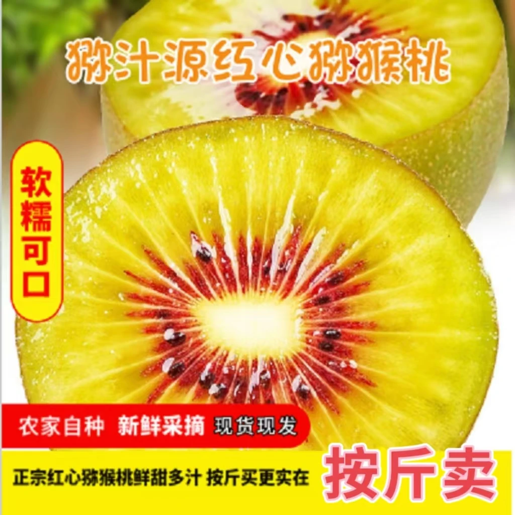四川绵阳猕猴桃之乡红心猕猴桃新鲜采摘应急孕妇小孩水果香甜多汁