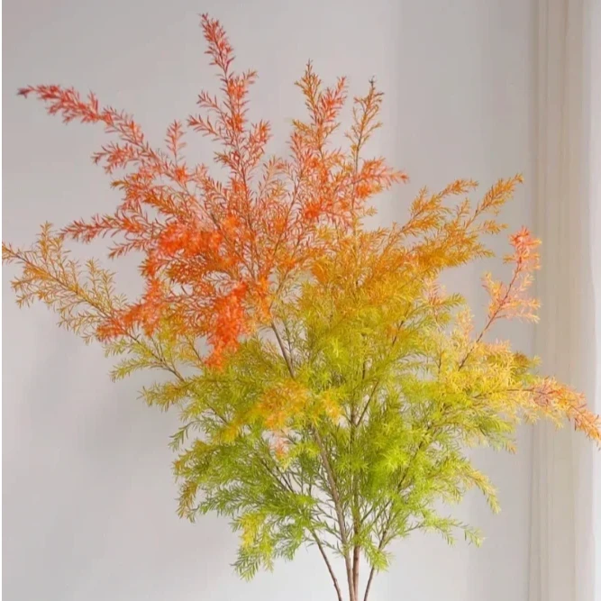 【千层金】只能做干花，A级 黄金香柳，小众高级云南花卉鲜切花，