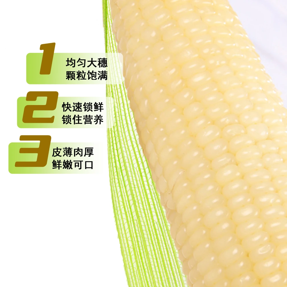 【试吃两根】今年白糯玉米软糯香甜共10支整箱5-5.5斤