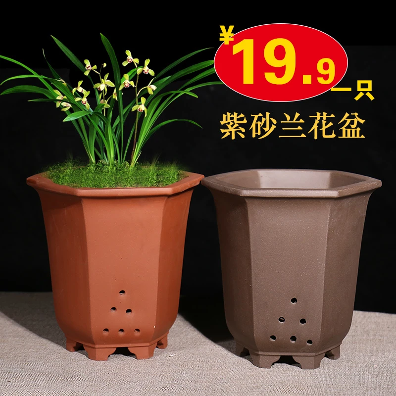 紫砂兰花盆大口径君子兰花盆种树花盆轻奢高级感陶瓷花盆