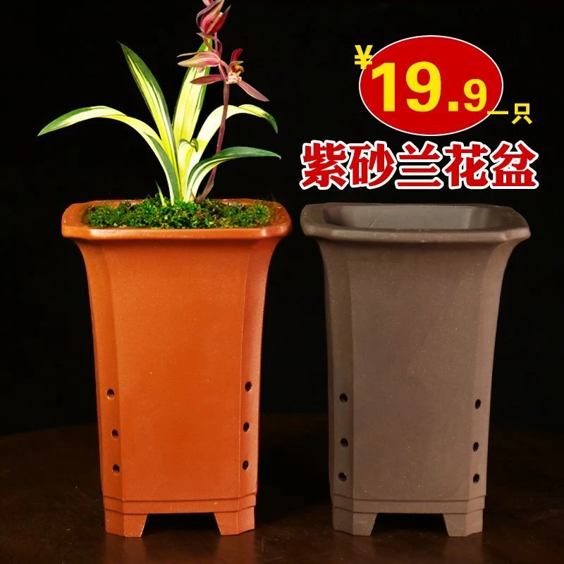 紫砂花盆君子兰花盆大号兰花专用花盆阳台种菜盆陶瓷花盆