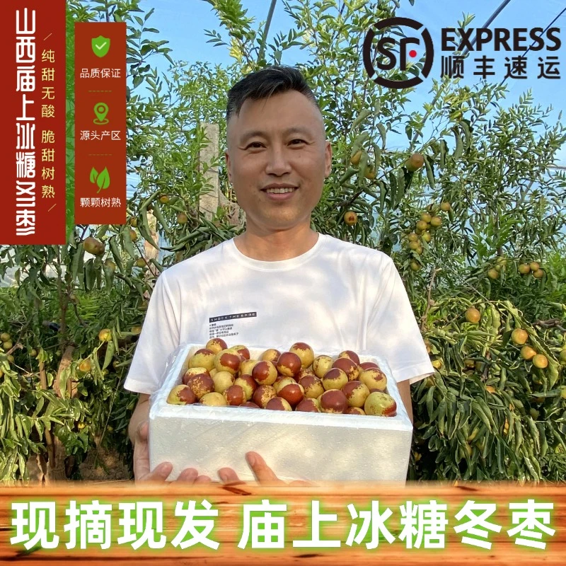 【顺丰包邮】新鲜脆甜冬枣自然成熟山西应季春棚冬枣5斤彩箱包邮
