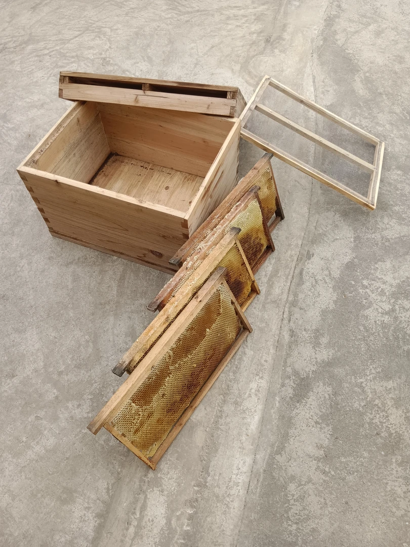 四脾中蜂带箱带王顺丰包邮