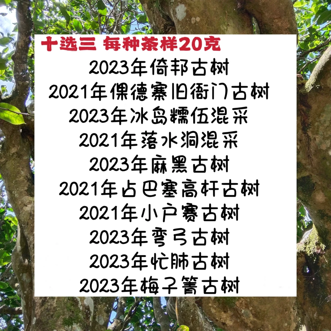 曼景来新粉茶样礼包十选三每样20g共60克品鉴装 云南古树普洱生茶