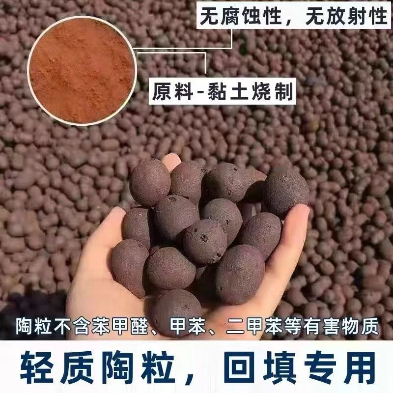 陶粒 多肉伴侣 5升装