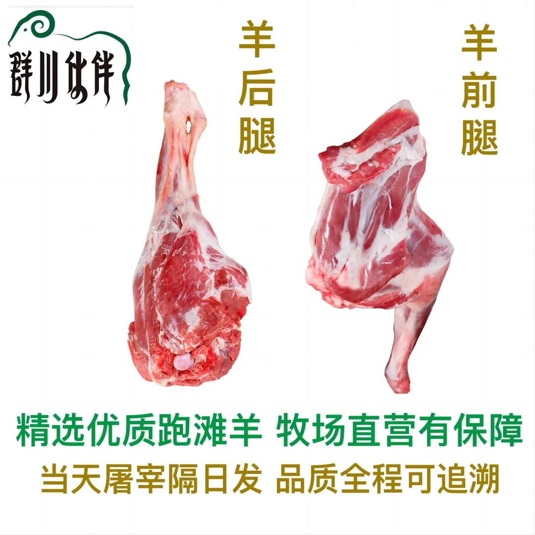 群川伙伴宁夏滩羊肉-滩羊前腿/后腿5/7斤-牧场直营只做新鲜羊肉
