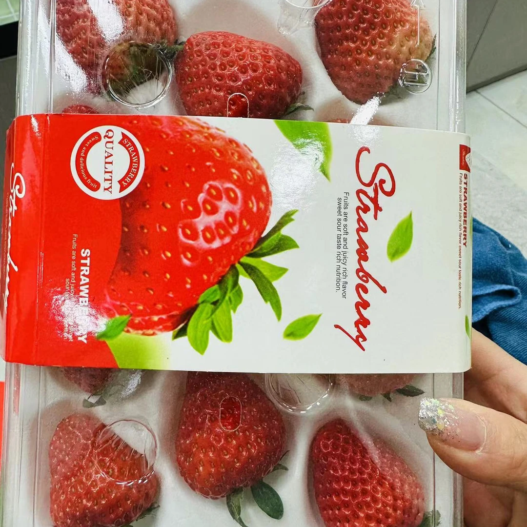 水果园丹东大果红颜草莓1盒