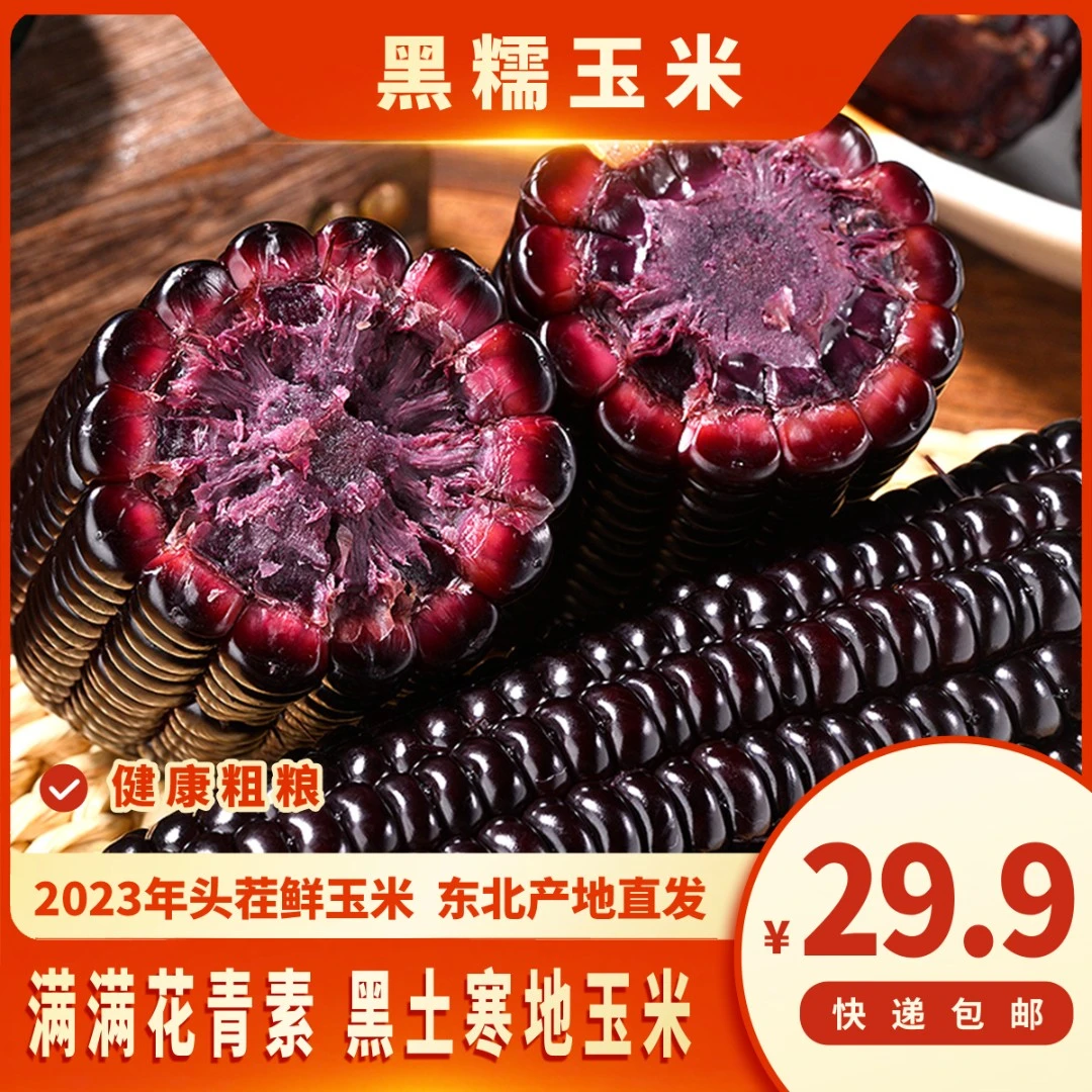 东北新鲜黑糯玉米220g*10支 软糯香甜 黏玉米真空锁鲜糯玉米