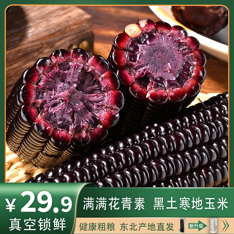 【老陈专属】东北优选黑糯玉米新鲜香甜代餐真空包装220g*10根