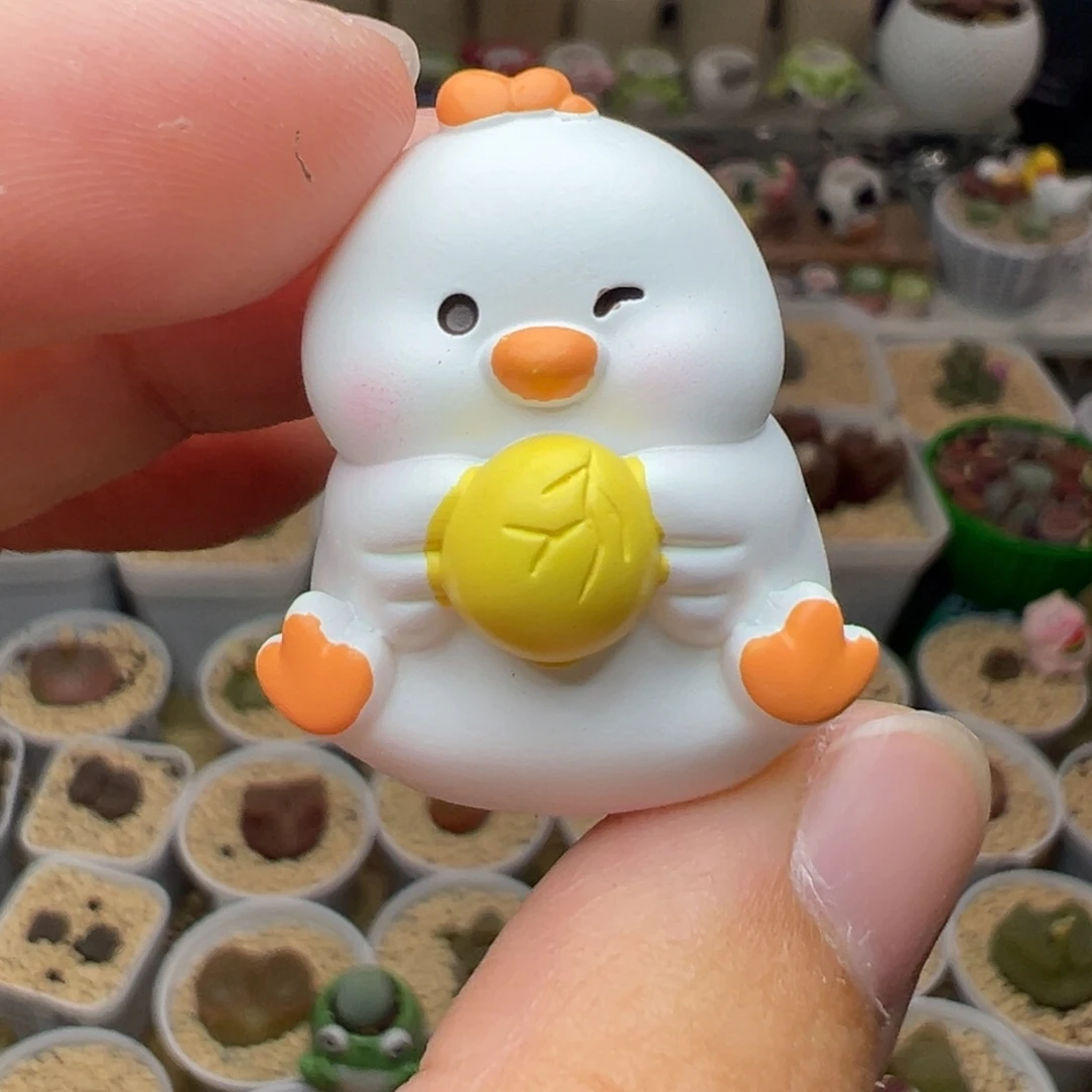 多肉植物实付满9.9包邮75