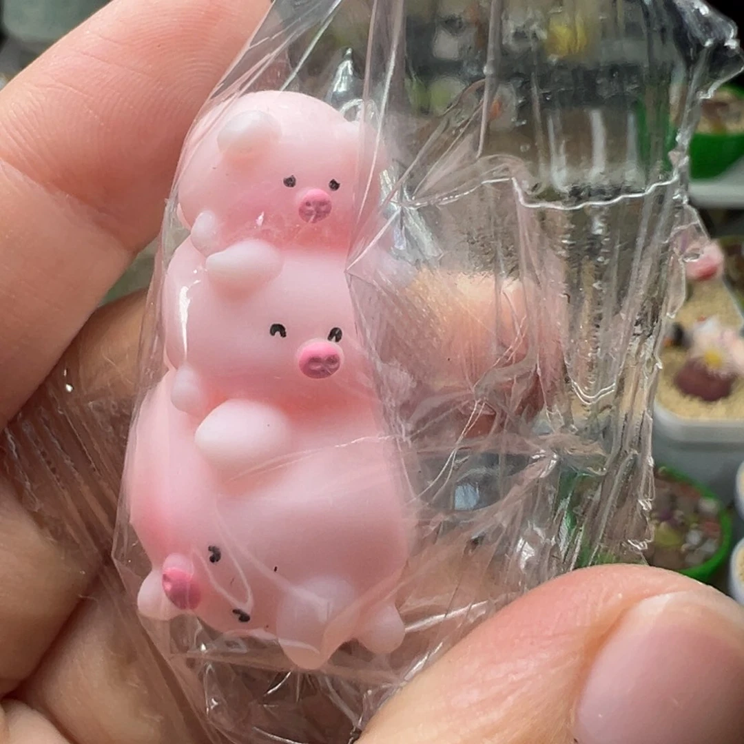 多肉植物实付满9.9包邮309