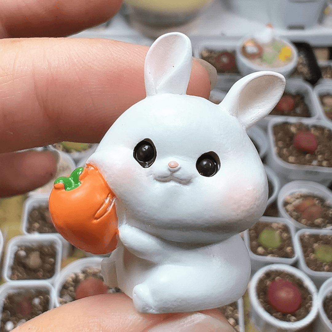 多肉植物实付满9.9包邮322压盆石