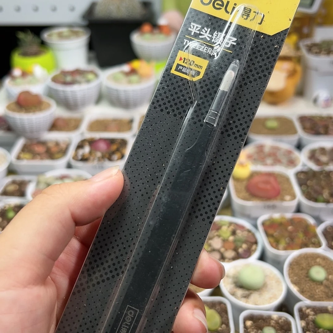 多肉植物实付满9.9包邮一把镊子