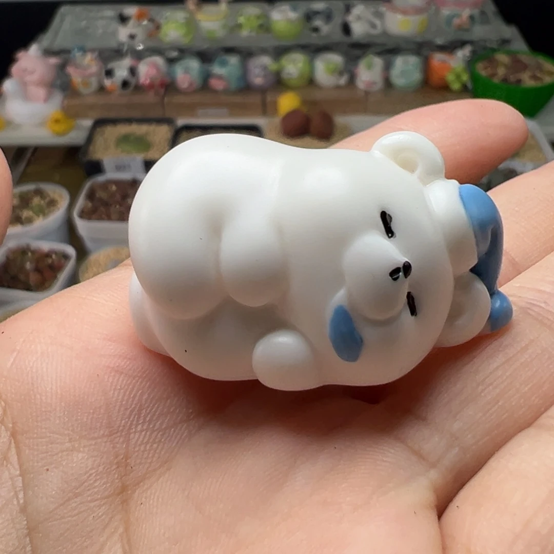 多肉植物实付满9.9包邮126