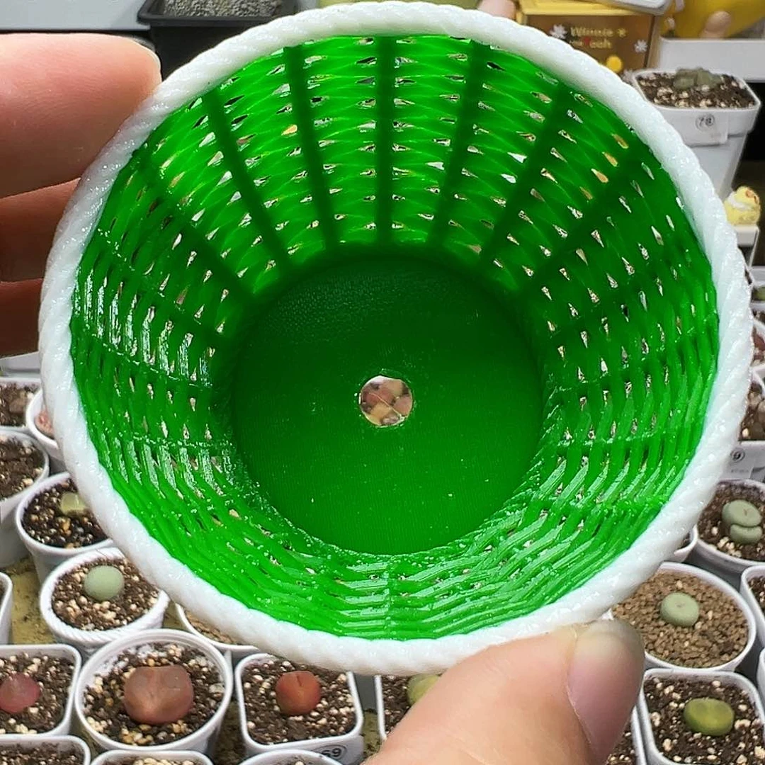 多肉植物实付满9.9包邮211