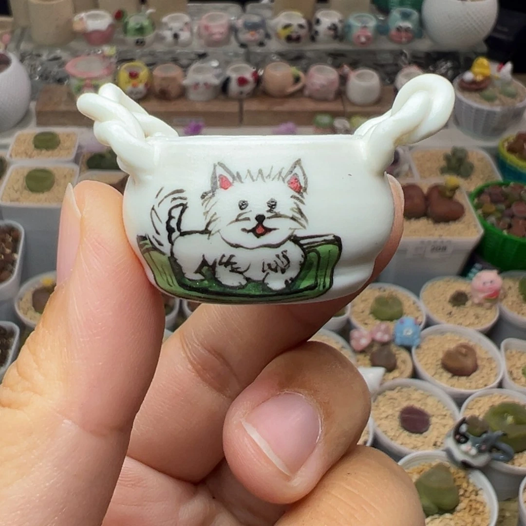 多肉植物实付满9.9包邮264