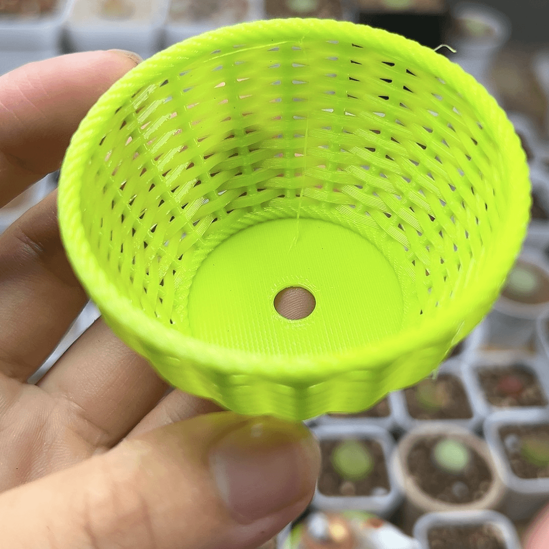 多肉植物实付满9.9包邮15