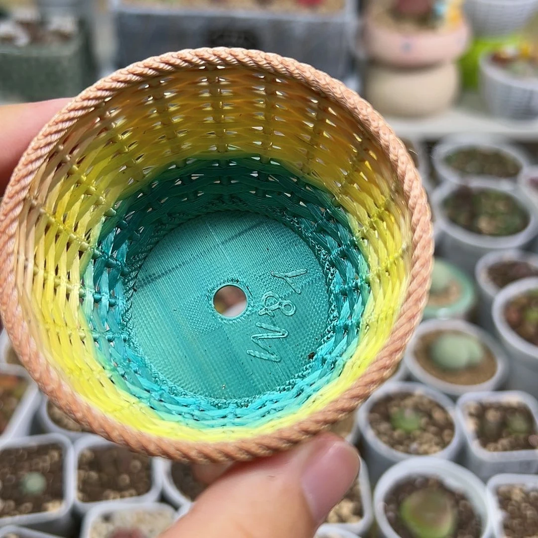 多肉植物实付满9.9包邮99