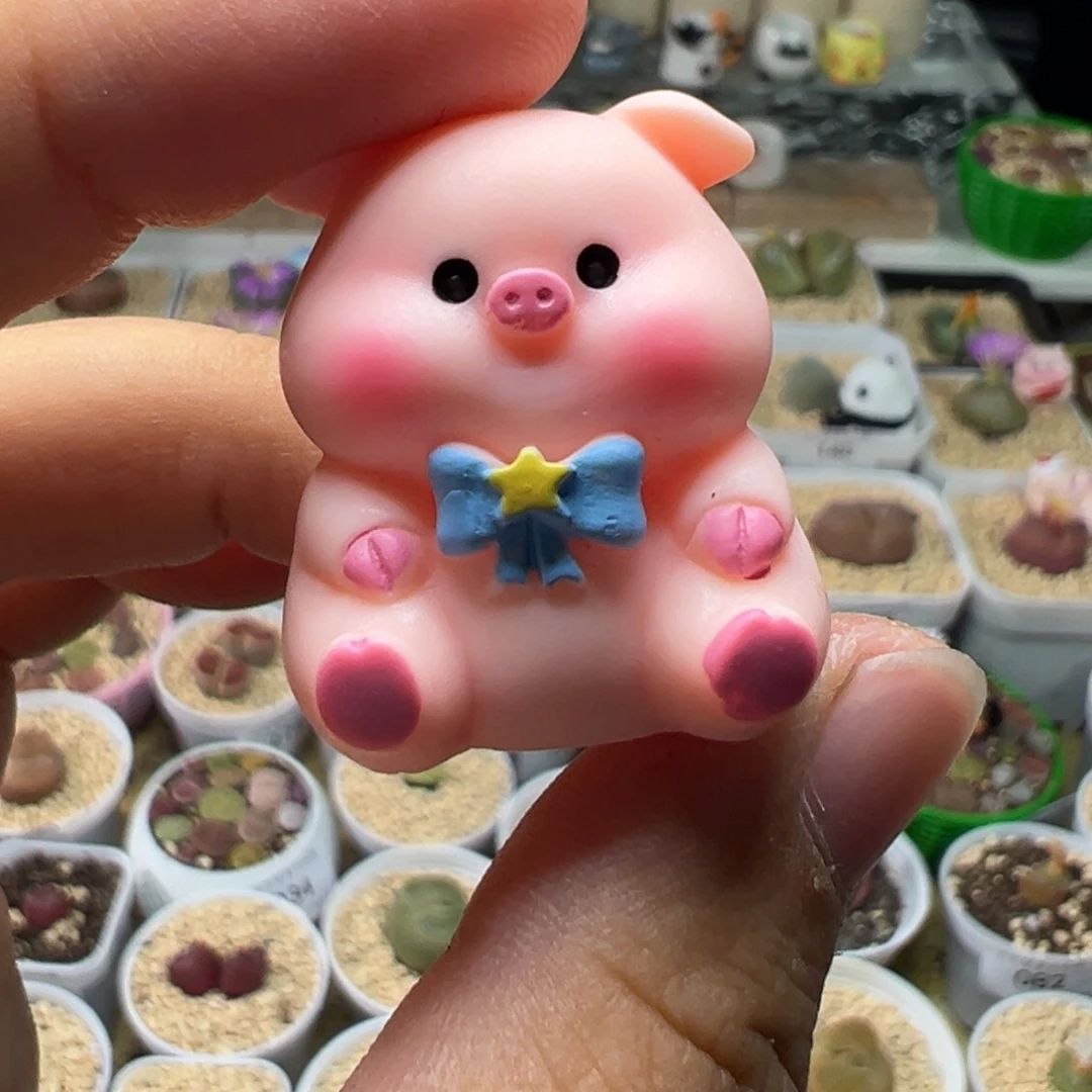 多肉植物实付满9.9包邮163