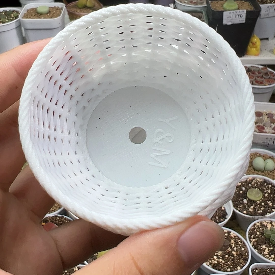 多肉植物实付满9.9包邮188