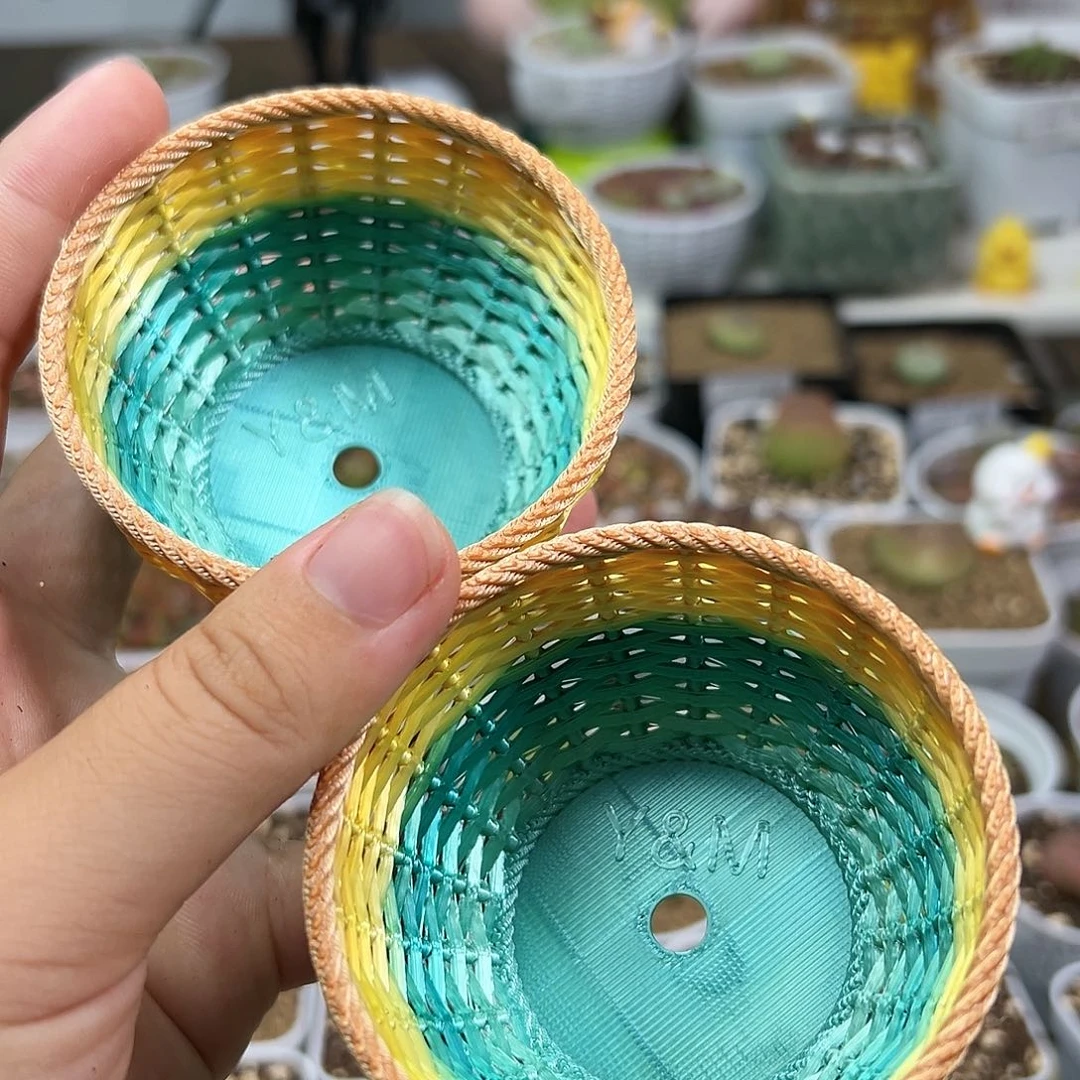 多肉植物实付满9.9包邮80