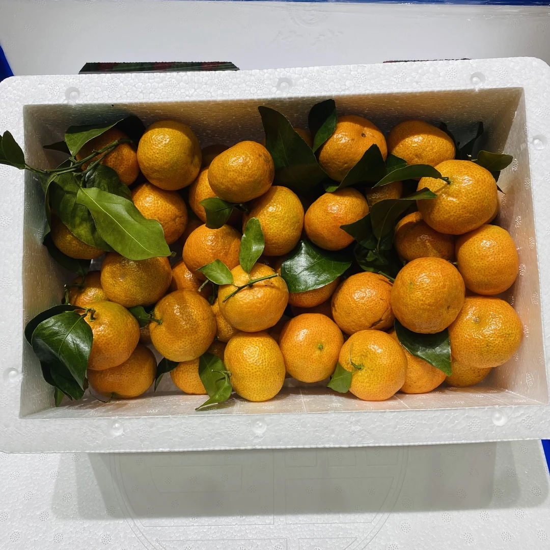 【磊哥心选】广西砂糖橘一箱5斤左右