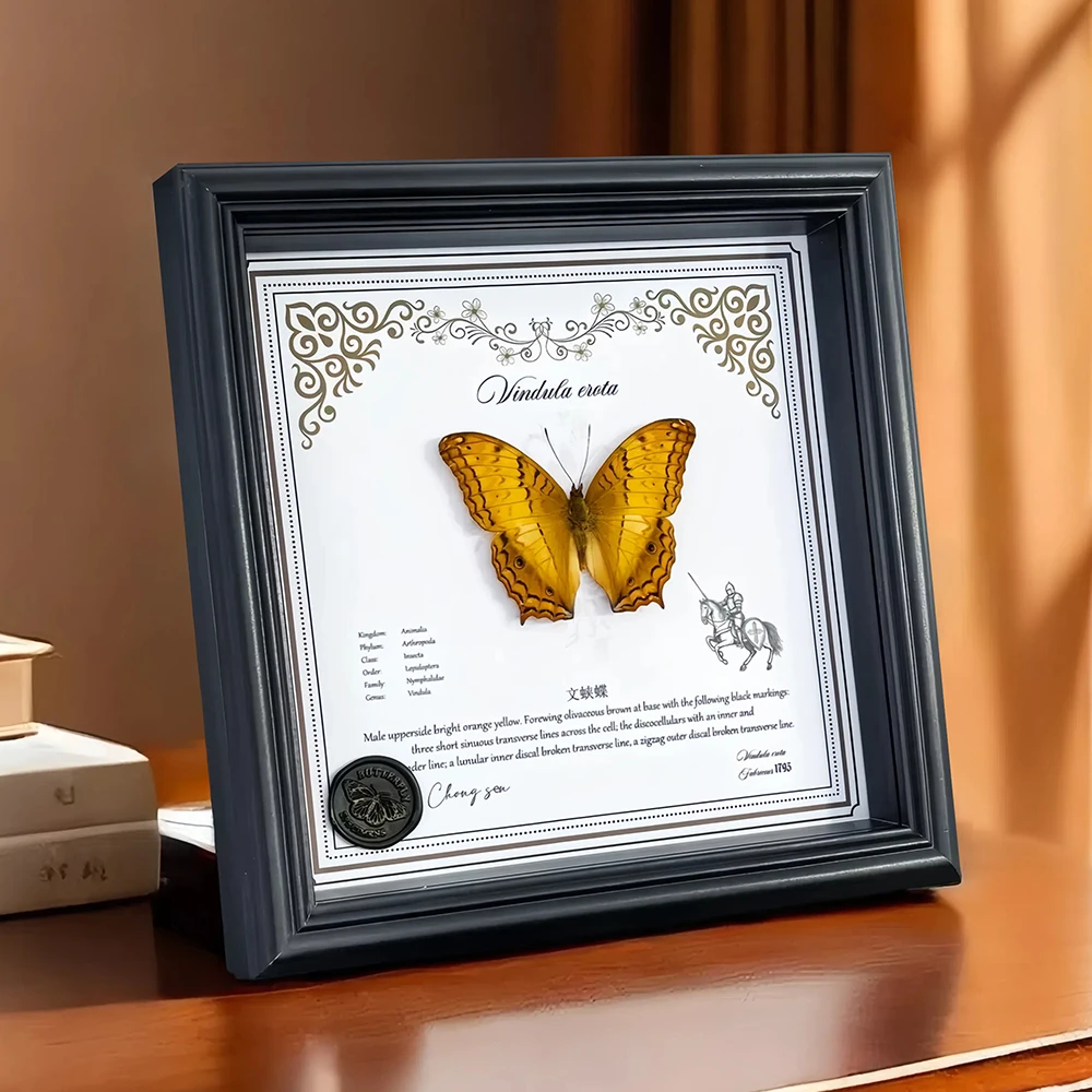 文蛱蝶蝴蝶标本真蝴蝶相框装饰画桌面摆件送女友闺蜜生日礼物