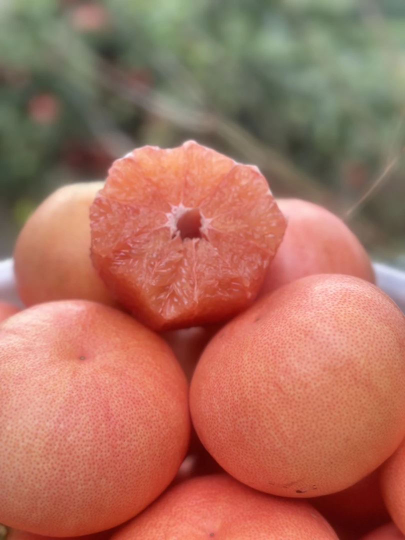 【稀有品种】三红葡萄柚新品种纯甜无酸新鲜应季水果当季孕妇水果