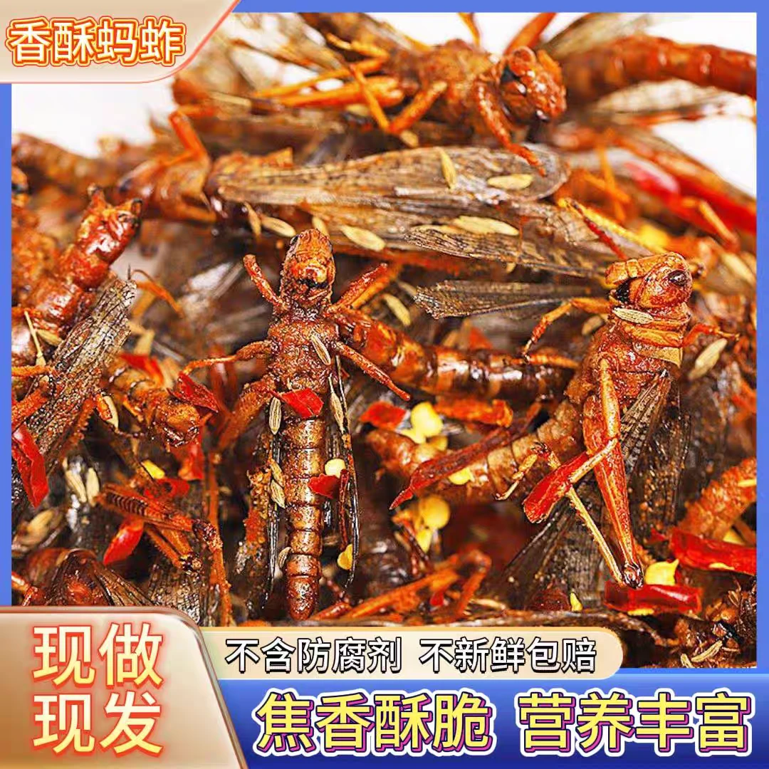 新鲜油炸蚂蚱即食蝗虫香酥烧烤下酒菜零食小吃昆虫蚱蜢虫子美食