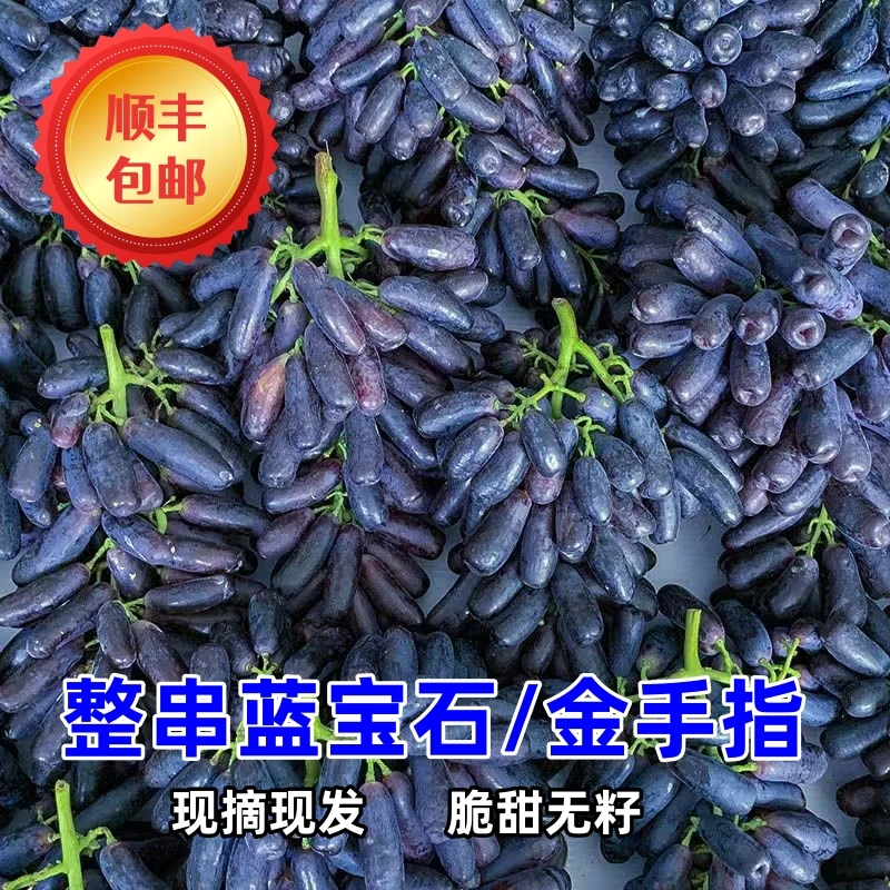 买2斤送2斤【顺丰包邮】蓝宝石葡萄金手指美人指新鲜水果0.5-4斤