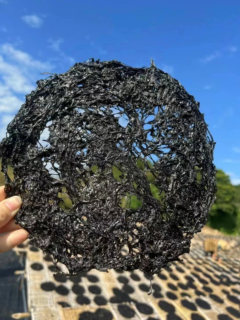 今年新头水紫菜特产紫菜南澳免洗无沙食海鲜紫菜海带海藻幼嫩紫菜