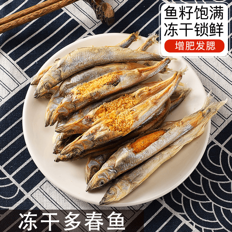 满籽多春鱼冻干猫咪零食发腮增肥补钙营养小鱼干幼猫粮成猫狗用品
