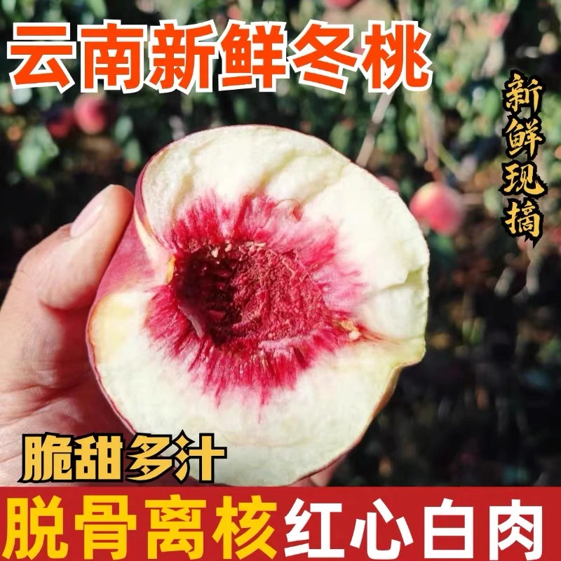 【掌柜亲自现摘】云南大理冬桃冬雪脆桃毛桃非水蜜桃应季水果整箱发