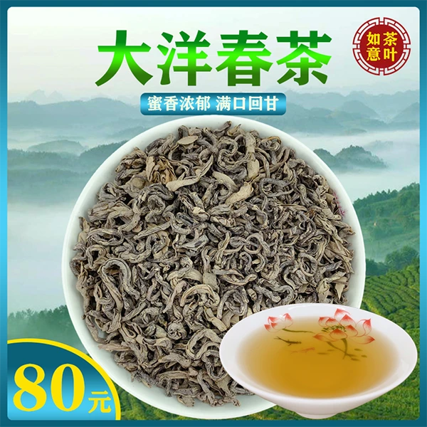 大洋炒茶揭阳揭西饱满高山炒茶2025新春茶叶浓香型绿茶500克浓郁