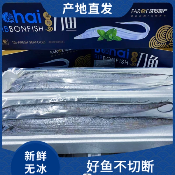 大连本地渤海湾刀鱼礼盒3-3.5斤/盒(4条)