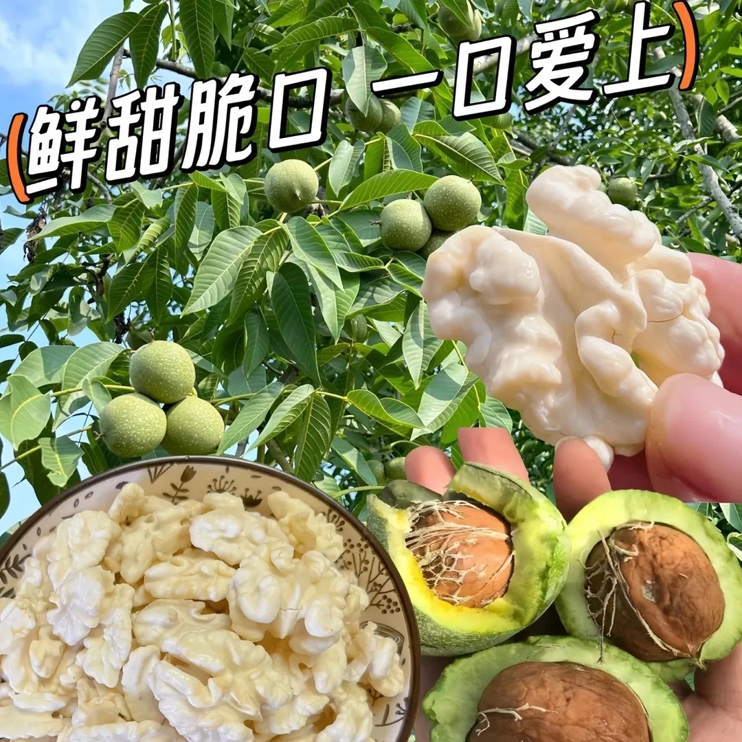 2024 年新鲜核桃