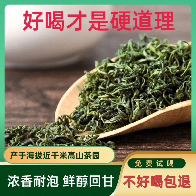 2025新茶江西绿茶赣南五指峰高山云雾上犹毛尖浓香上犹绿茶