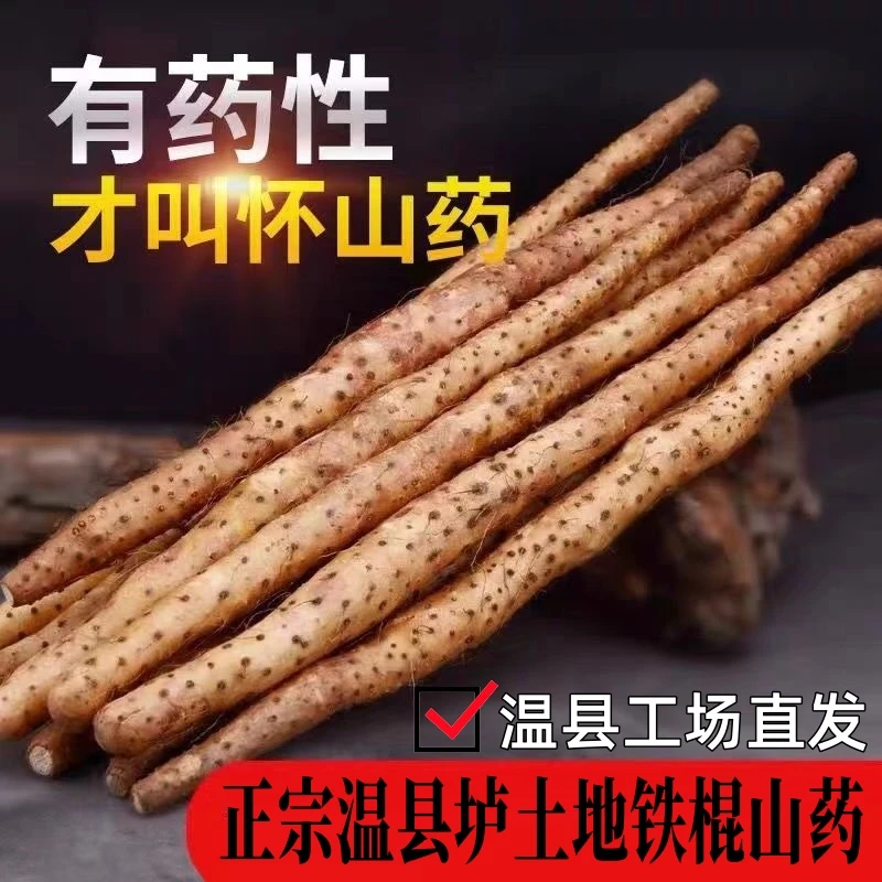 温县垆土地铁棍山药怀山药河南焦作特产怀山药新鲜采挖
