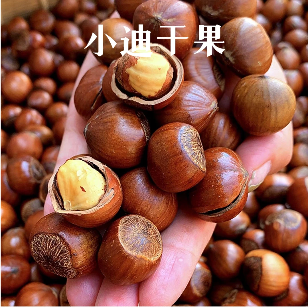 新货东北炒熟大榛子原味薄皮营养美味二元榛子2/3/5斤包邮送钳子