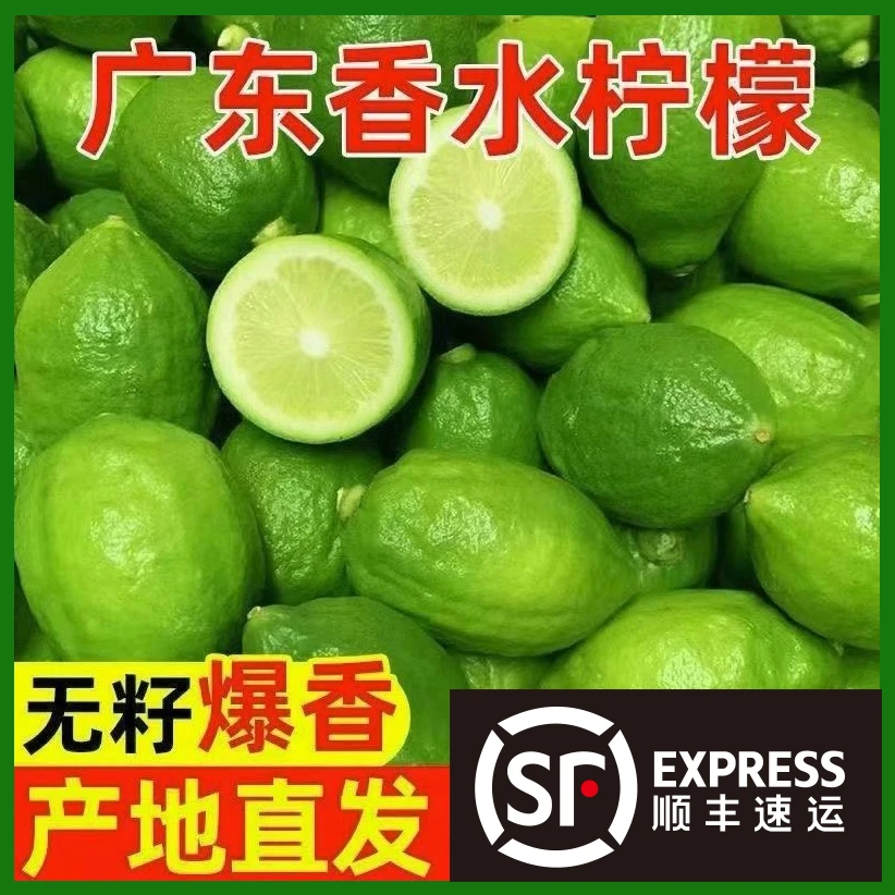 正宗广东香水柠檬【可选顺丰包邮】无籽爆香奶茶店专用果园现摘现发
