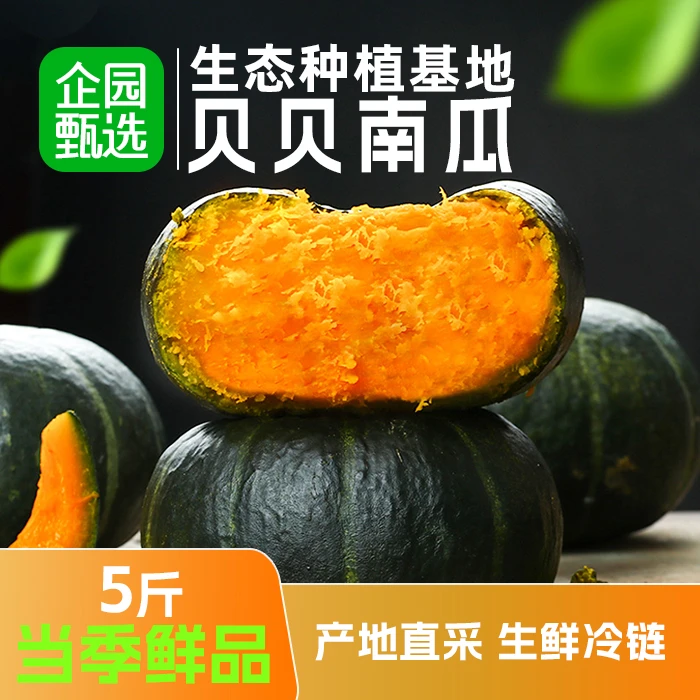 （坏瓜包赔)新鲜采摘正宗贝贝南瓜粉糯香甜带箱5斤