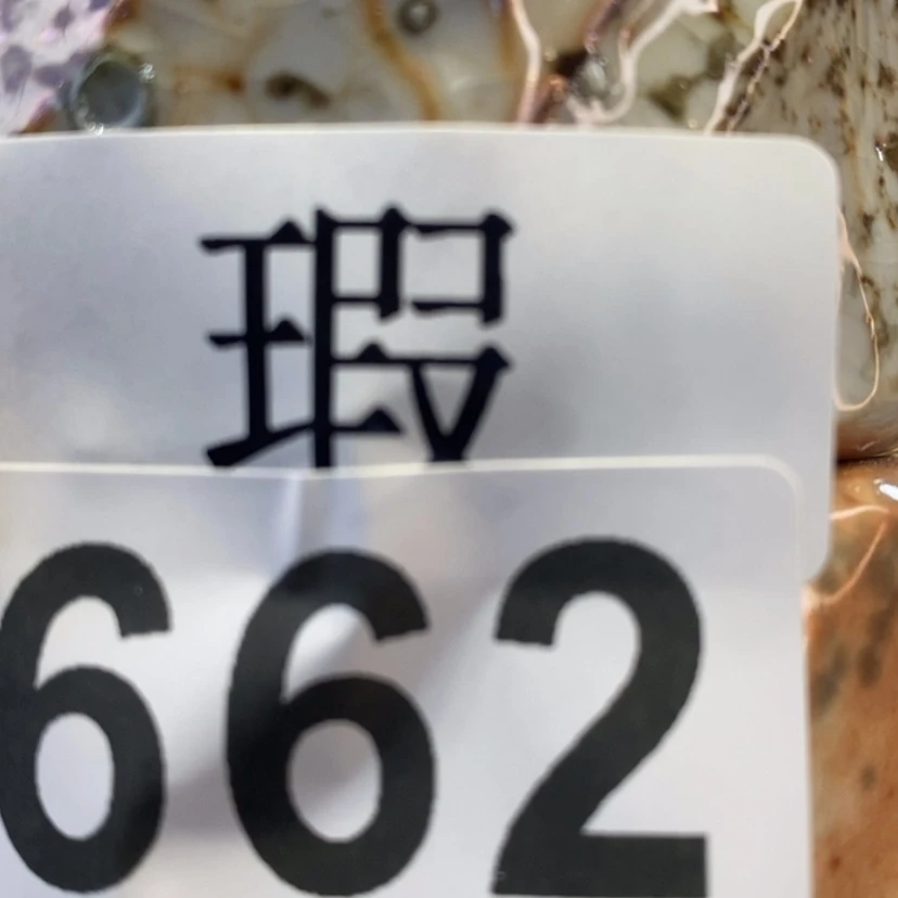 【闪购商品】陶瓷艺术设计专业
