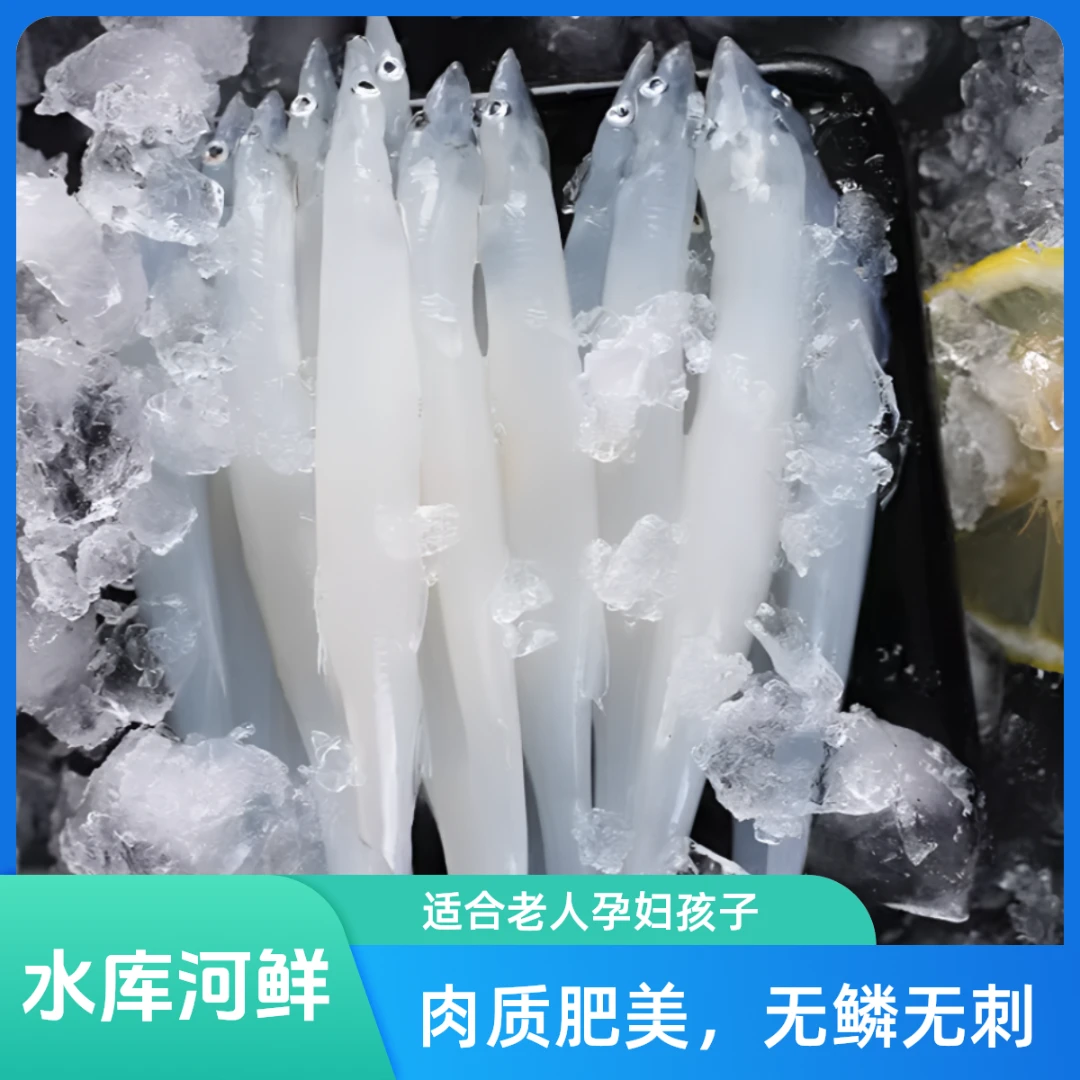 【顺丰冷链】淡水大银鱼湖鲜细嫩无刺无鳞高蛋白低脂肪高营养 生鲜