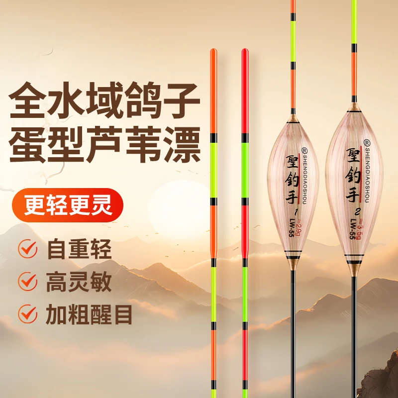 聖钓手带壳芦苇抗流水风浪60长鸽子蛋行程浮漂醒目钓鱼加粗细尾