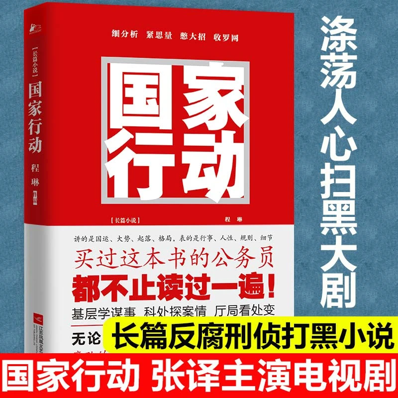 【新疆包邮】国家行动程琳著张译主演同名电视剧原著小说长篇反腐败