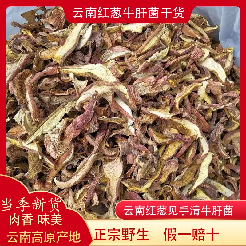 野生红葱干货100g黄牛肝菌白葱牛肝菌美味牛肝菌见手清云南菌子