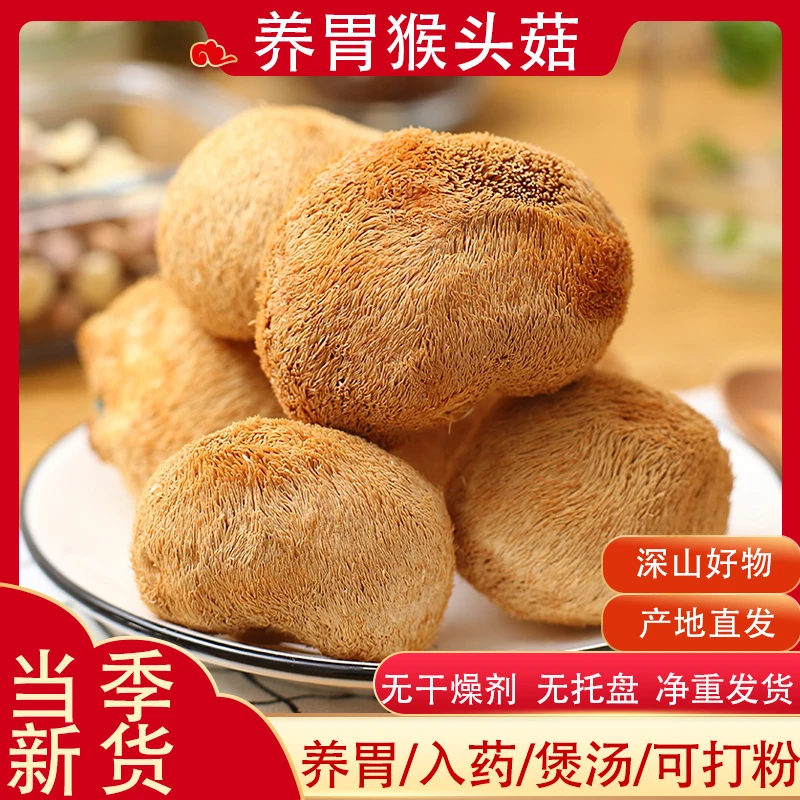 猴头菇干货云南山珍特级精品猴头菇养胃煲汤美味可口食材100g包邮