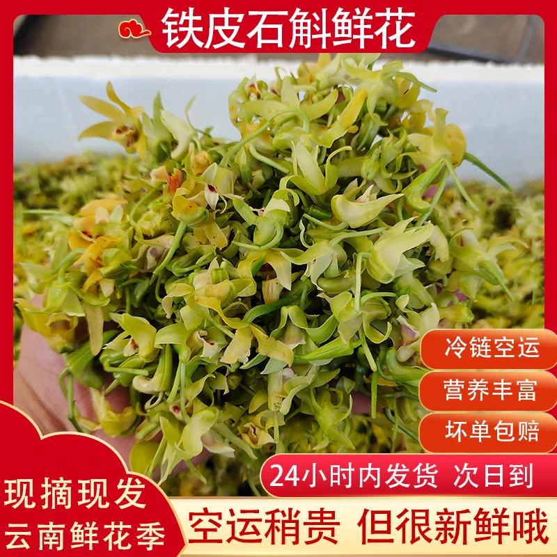 【顺丰包邮】新鲜铁皮石斛花云南食用花枫斗新花现摘现发农家自产