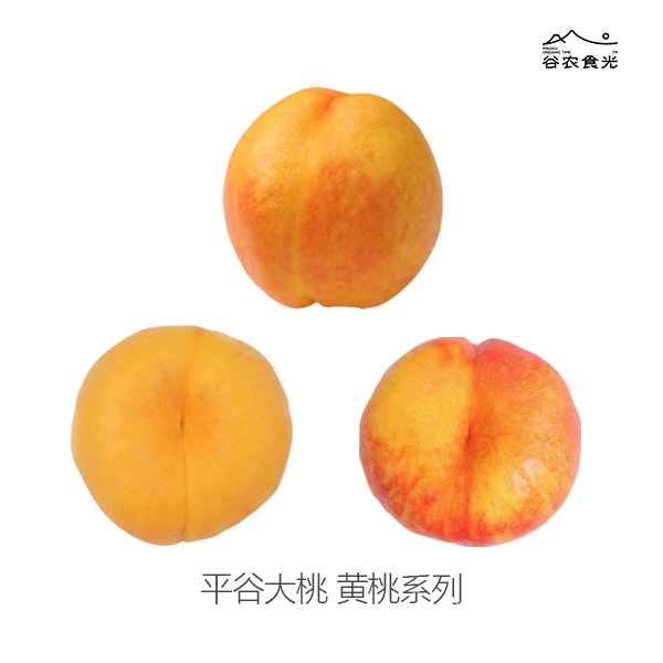 谷农食光【平谷黄桃系列】单果半斤以上果王 限量礼盒装九枚